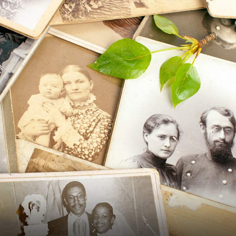 genealogy and local history