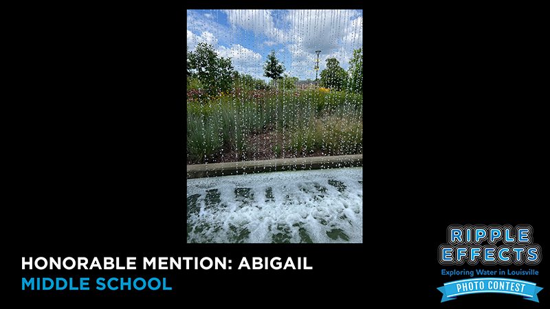 Honorable Mention Abigail Middle School