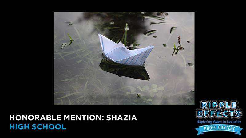 Honorable Mention Shazia High School