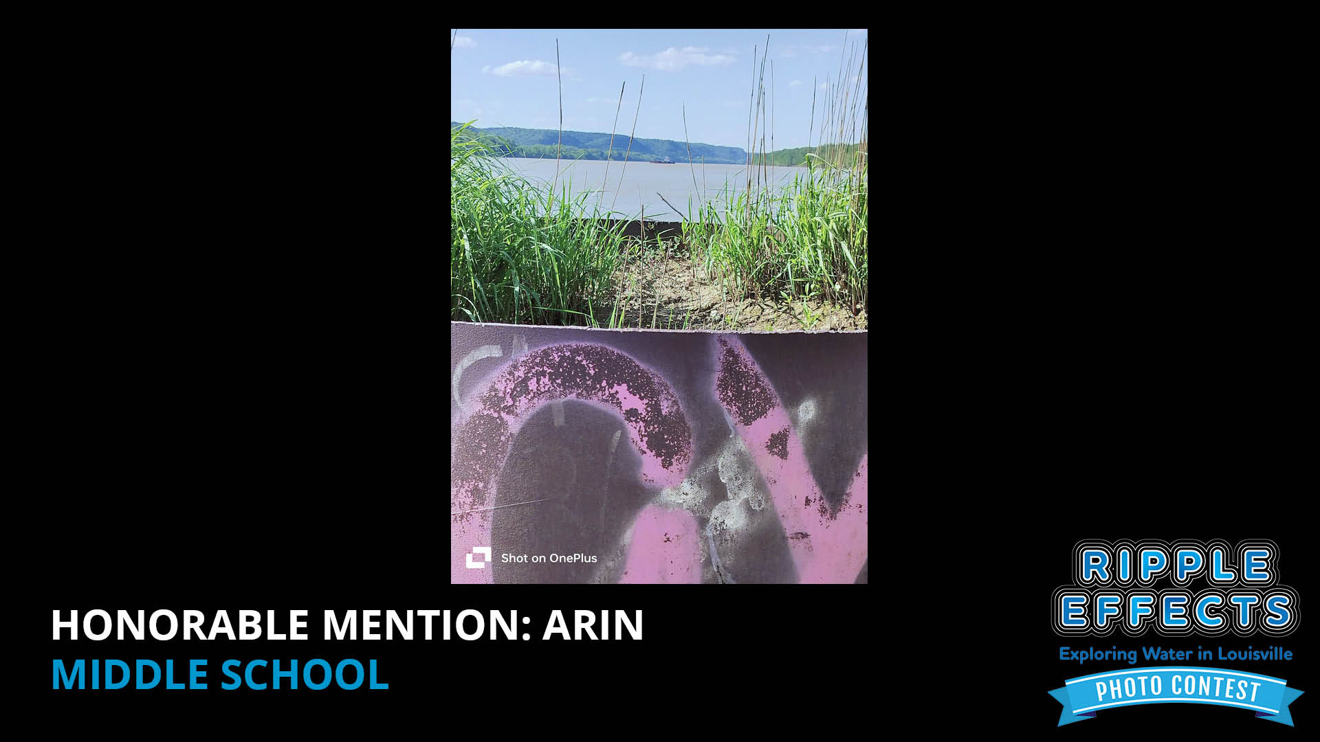 Honorable Mention Arin Middle School