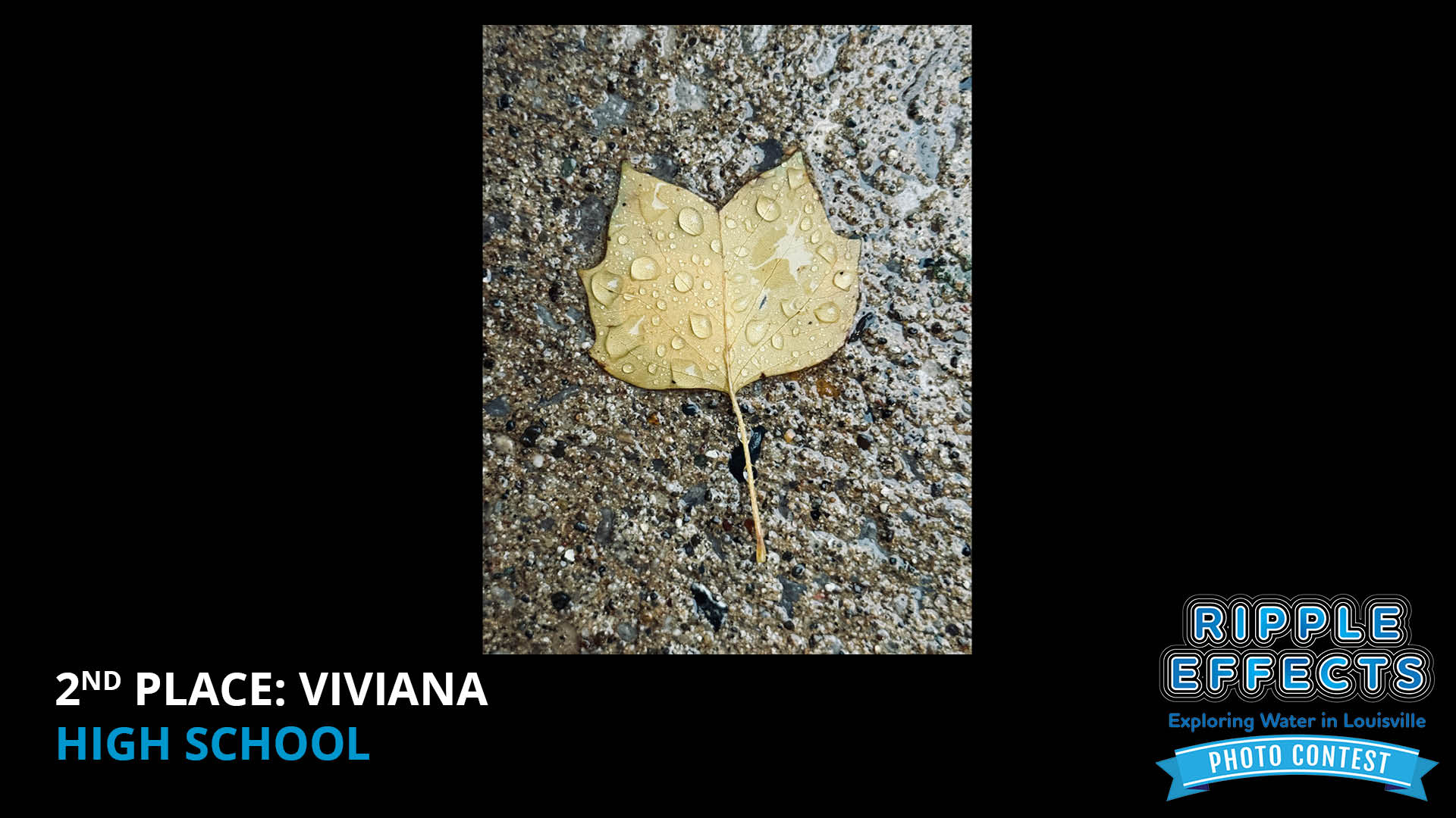 2nd Place Viviana High School