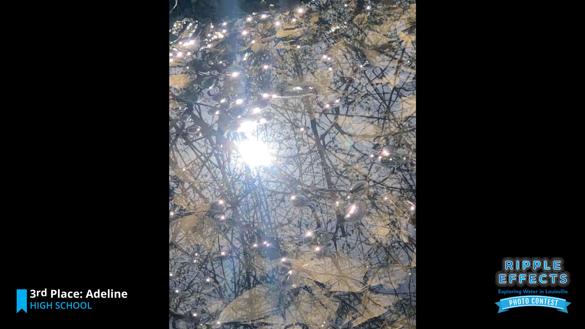 Ripple Effects: Exploring Water in Louisville Photo Contest